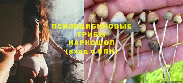 герыч Алексин